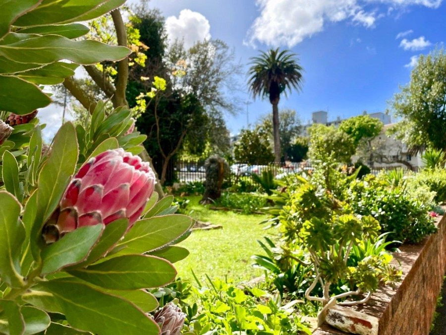 1 Bedroom Property for Sale in Wynberg Upper Western Cape